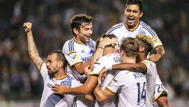 种真实飞行 种真实飞行